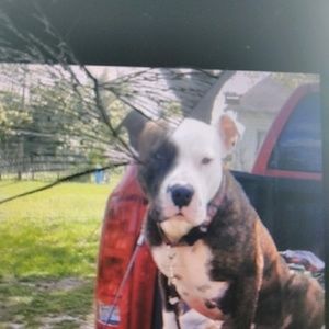 Meet your Posher, Adam